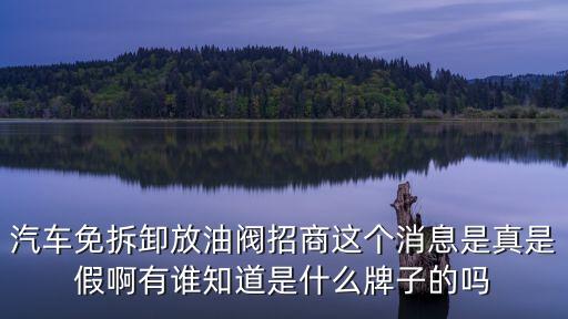 廣州放油閥，用的放油閥太花時間了想換個快速的放油閥哪個可以放心用啊