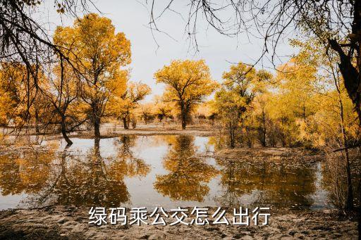 廣州綠桔單車用dd公交乘車碼，掃碼車怎能掃碼奇車