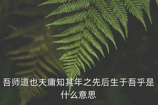 吾師道也夫庸知其年之先后生于吾乎是什么意思