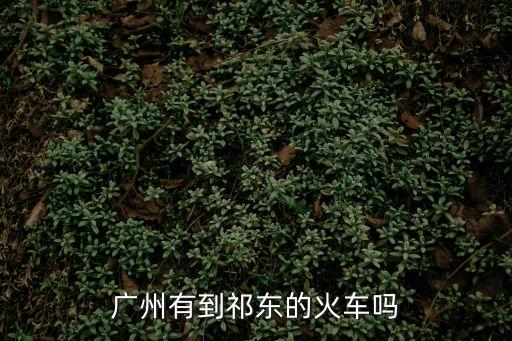 廣州省站至湖南祁東縣高鐵票，廣州到祁東的火車票價是多少