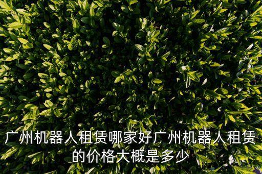 廣州機器人租賃哪家好廣州機器人租賃的價格大概是多少