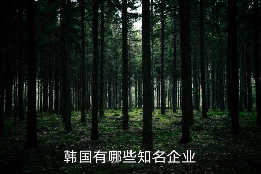 韓國企業排名，韓國有哪些知名企業