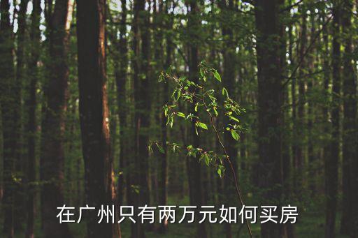 廣州南崗附近2萬以下樓盤，在廣州只有兩萬元如何買房