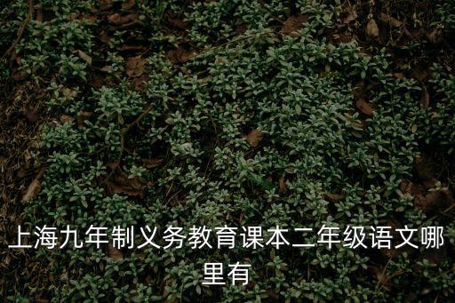 上海九年制義務教育課本二年級語文哪里有