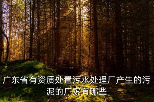 廣東省有資質處置污水處理廠產生的污泥的廠家有哪些