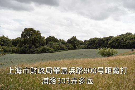 上海市財(cái)政局肇嘉浜路800號(hào)距離打浦路303弄多遠(yuǎn)