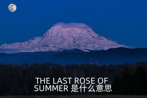 THE LAST ROSE OF SUMMER 是什么意思