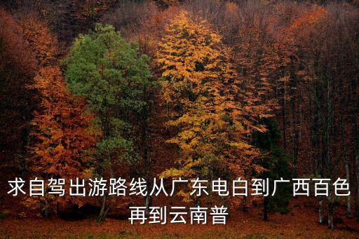 廣州到百色自駕旅游攻略，求自駕出游路線從廣東電白到廣西百色再到云南普