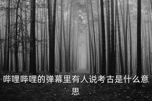 嗶哩嗶哩的彈幕里有人說考古是什么意思
