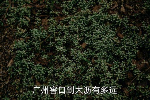 廣州窖口到大瀝有多遠，廣州窖口到大瀝有多遠