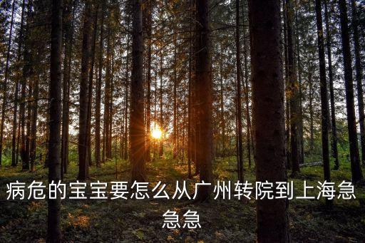 上海市危重新生兒轉診制度，病危的寶寶要怎么從廣州轉院到上海急急急