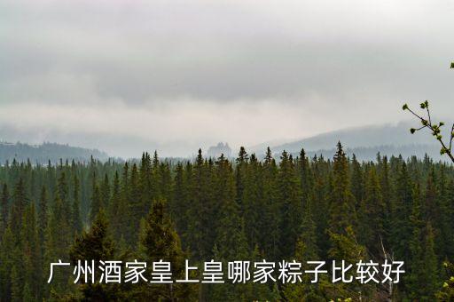 廣州酒家皇上皇哪家粽子比較好