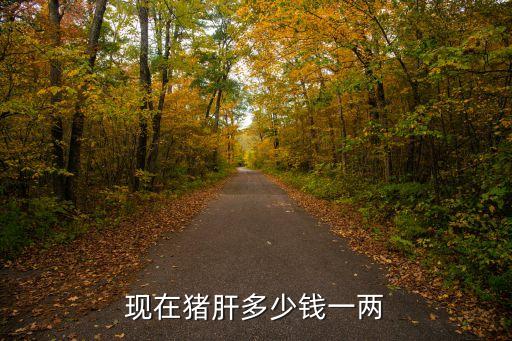 上海市豬肝多少錢，現在豬肝多少錢一兩