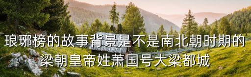 大梁國蕭皇帝列表，大梁國蕭選下一個皇帝是誰