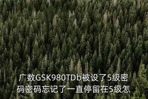 廣數GSK980TDb被設了5級密碼密碼忘記了一直停留在5級怎
