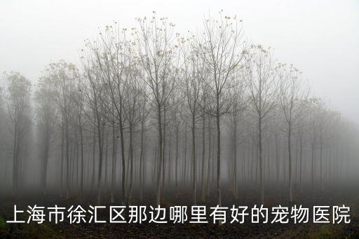 上海市徐匯區犬傷門診，上海徐匯區 寵物醫院