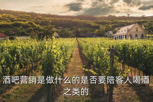 酒吧營銷是做什么的，酒吧的營銷是干什么的和外聯拉人來先給免費的酒水在推薦客人