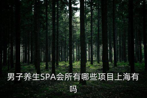 男子養生SPA會所有哪些項目上海有嗎