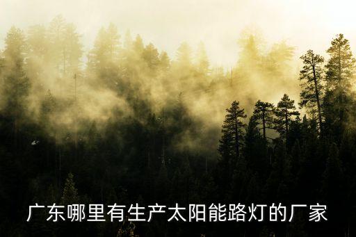 廣東哪里有生產太陽能路燈的廠家