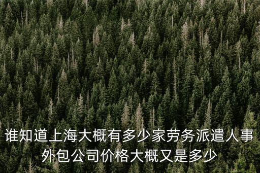 誰知道上海大概有多少家勞務派遣人事外包公司價格大概又是多少