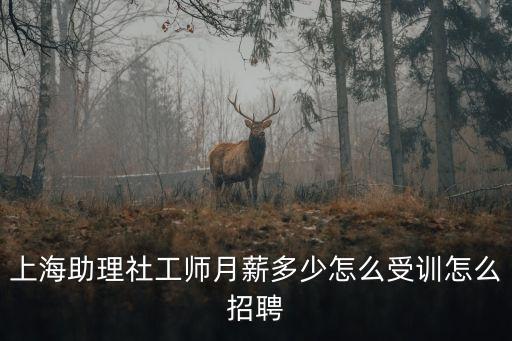 上海市社會工作者薪資，上海助理社工師月薪多少怎么受訓怎么招聘
