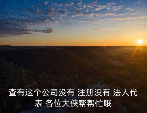 查有這個公司沒有 注冊沒有 法人代表 各位大俠幫幫忙哦