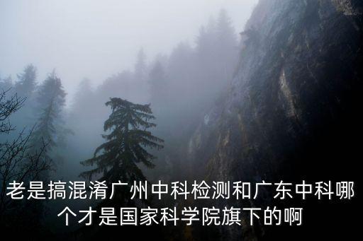 老是搞混淆廣州中科檢測(cè)和廣東中科哪個(gè)才是國(guó)家科學(xué)院旗下的啊