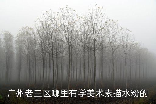 廣州老三區哪里有學美術素描水粉的