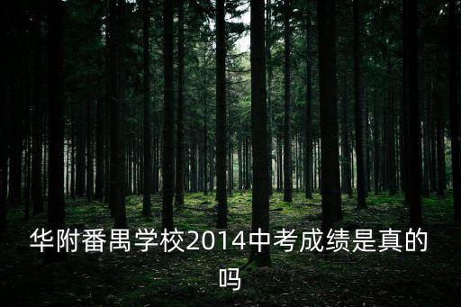 廣州華附番禺中學中考成績，華師附中番禺學校09年中考錄取分數多少