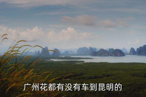 廣州花都有沒有車到昆明的
