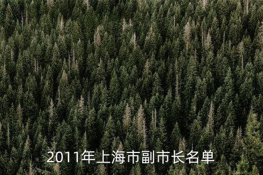 2011年上海市副市長名單