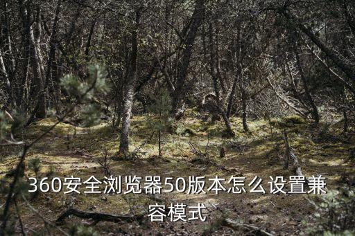 360兼容模式怎么設(shè)置，360瀏覽器兼容模式怎么設(shè)置