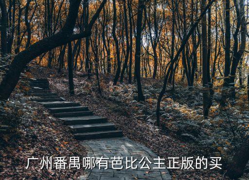 廣州番禺哪有芭比公主正版的買