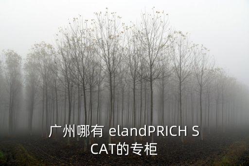 廣州哪有 elandPRICH SCAT的專柜