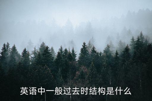 英語中一般過去時結(jié)構(gòu)是什么