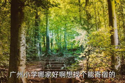 廣州小學哪家好啊想找個能寄宿的