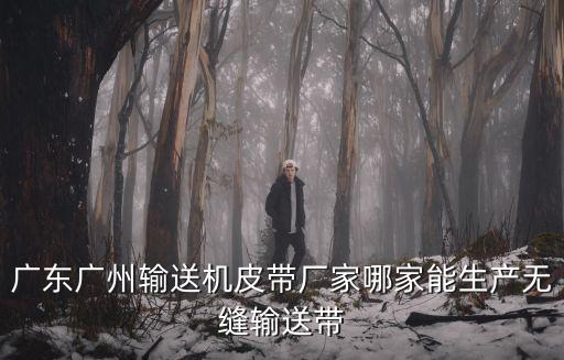 廣州輸送皮帶機，廣州哪里有便宜的輸送機
