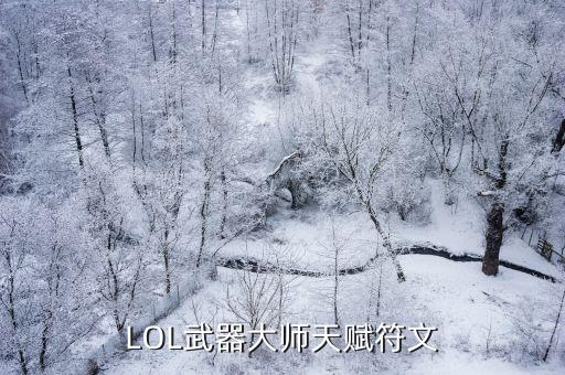 武器大師符文，求武器大師的符文