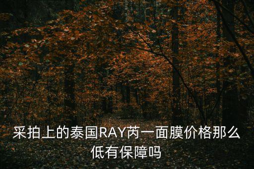 廣州產的泰國rav面膜，采拍上的泰國RAY芮一面膜價格那么低有保障嗎