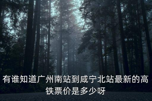 廣州到咸寧高鐵價格，有誰知道廣州南站到咸寧北站最新的高鐵票價是多少呀