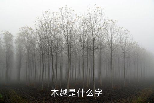 木越，木越三右衛(wèi)門十一代寒雉作是日本哪個地方的鐵壺