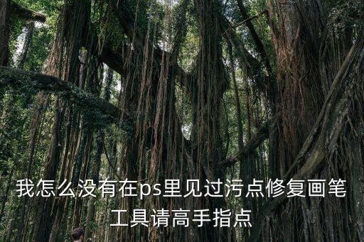 污點修復工具，PS中污點畫筆修復工具是做什么的