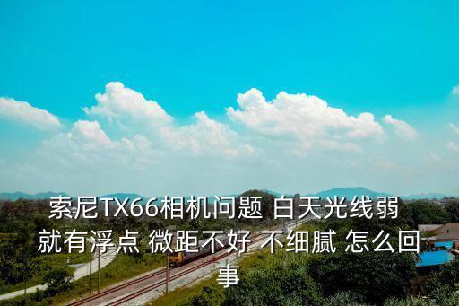 索尼TX66相機(jī)問題 白天光線弱 就有浮點(diǎn) 微距不好 不細(xì)膩 怎么回事