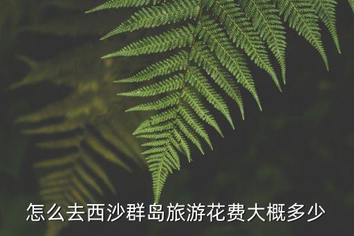 怎么去西沙群島旅游花費(fèi)大概多少