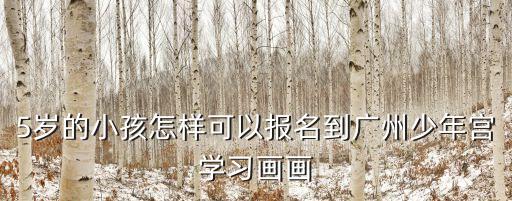 5歲的小孩怎樣可以報名到廣州少年宮學習畫畫