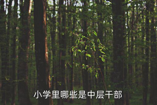 小學里哪些是中層干部