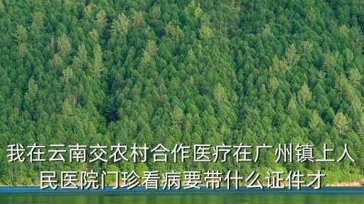 我在云南交農村合作醫療在廣州鎮上人民醫院門珍看病要帶什么證件才
