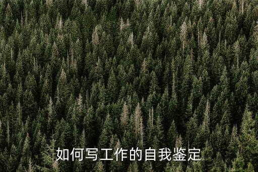 如何寫工作的自我鑒定