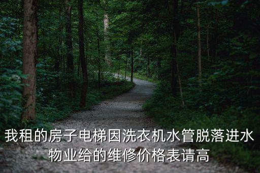 我租的房子電梯因洗衣機(jī)水管脫落進(jìn)水物業(yè)給的維修價(jià)格表請(qǐng)高