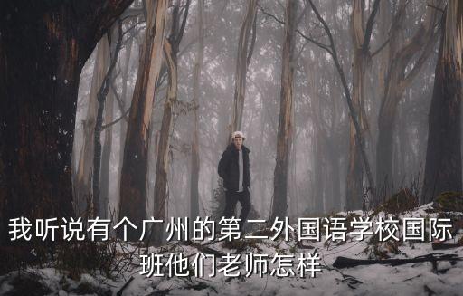 我聽說有個廣州的第二外國語學校國際班他們老師怎樣